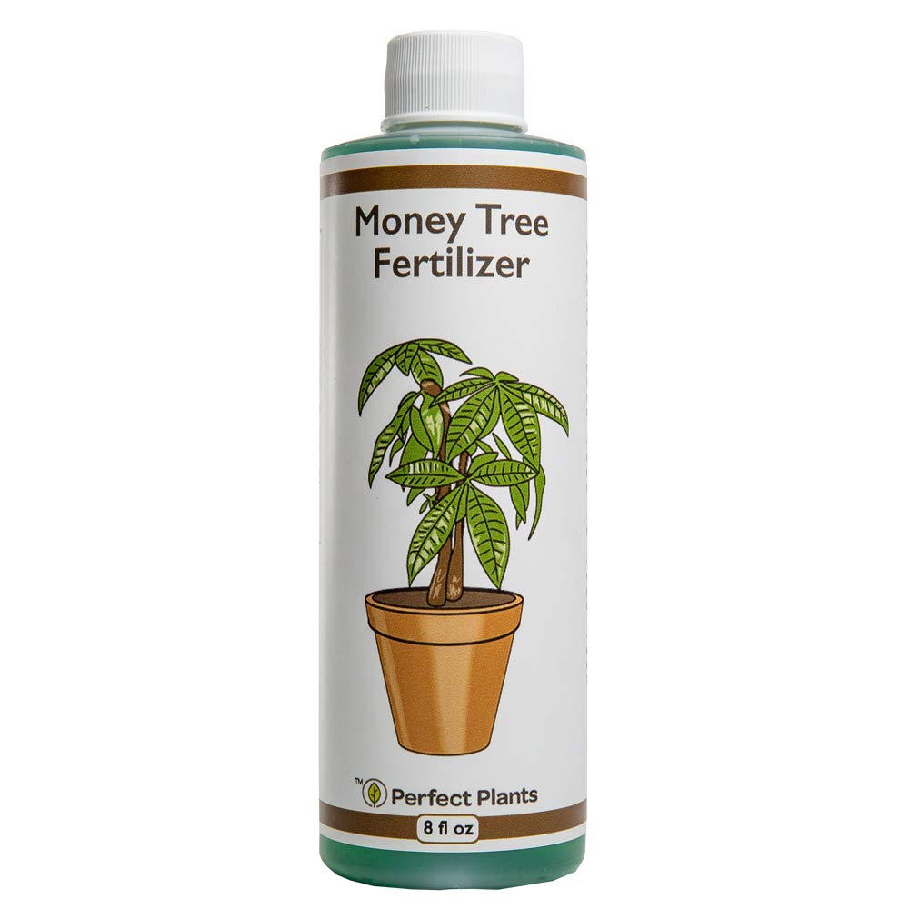 8 oz Liquid Indoor Plant Fertilizer H35783