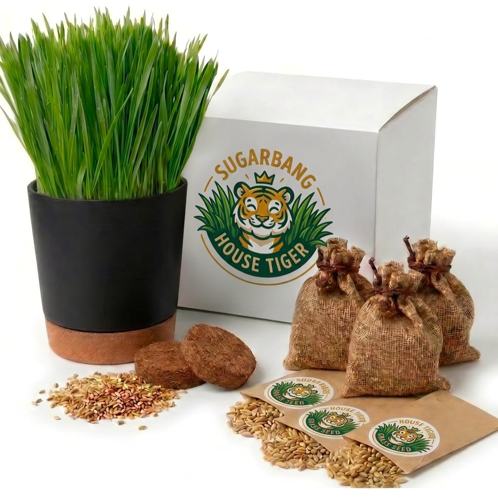 Cat Grass Gift Set with Self-Watering Pot & 3-Pack Refill W7481