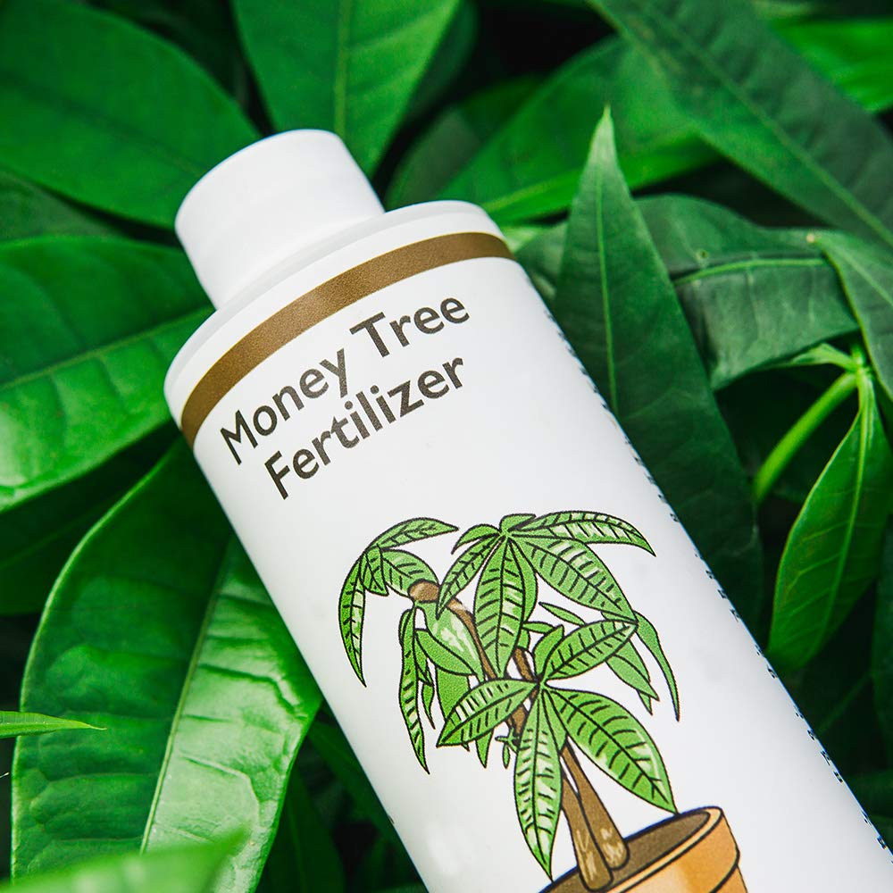 8 oz Liquid Indoor Plant Fertilizer H35783