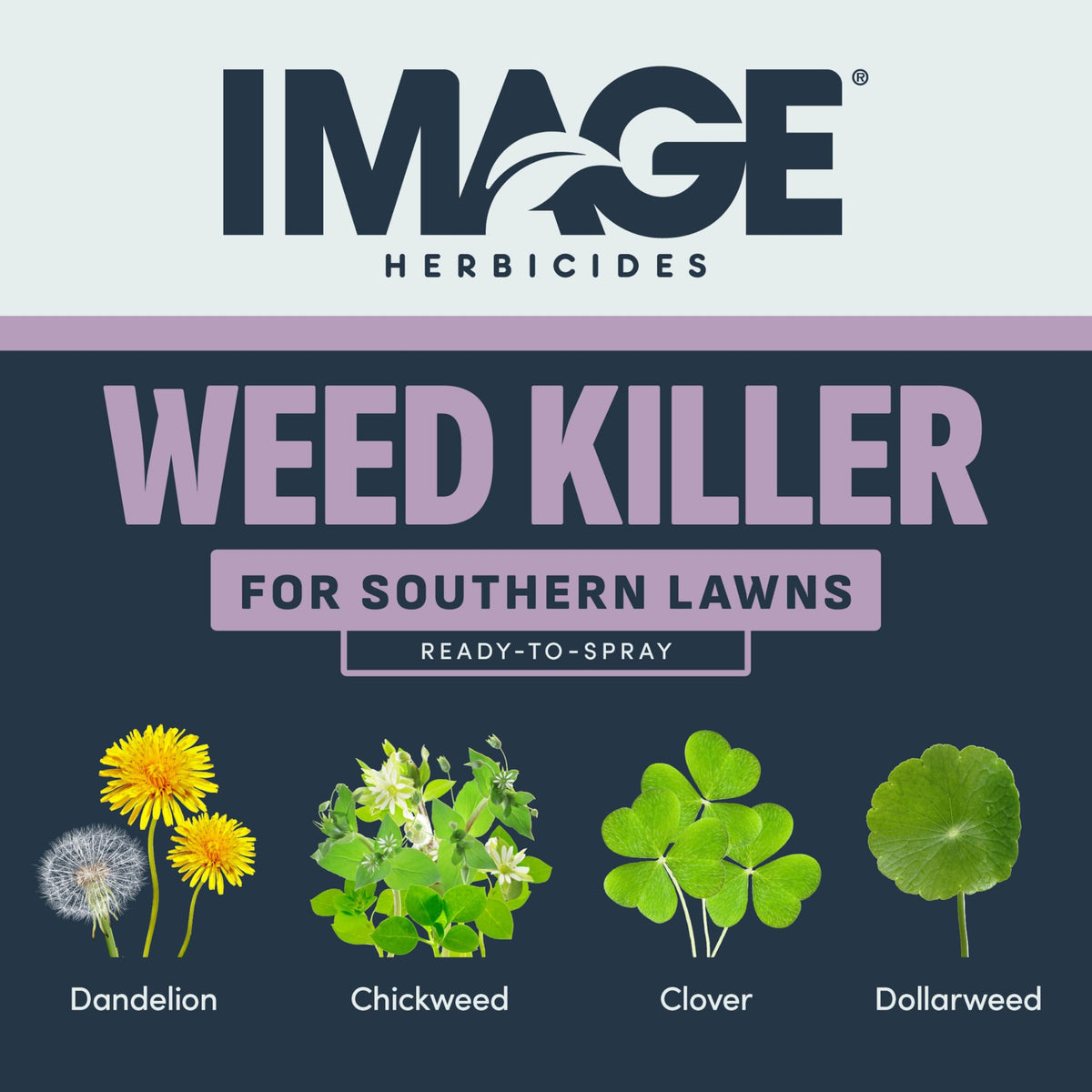 32 Oz Weed Killer I2293
