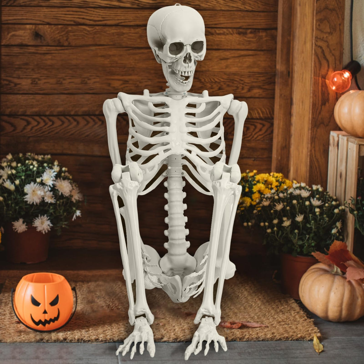 Life Size Poseable Skeleton with Movable Joints B977