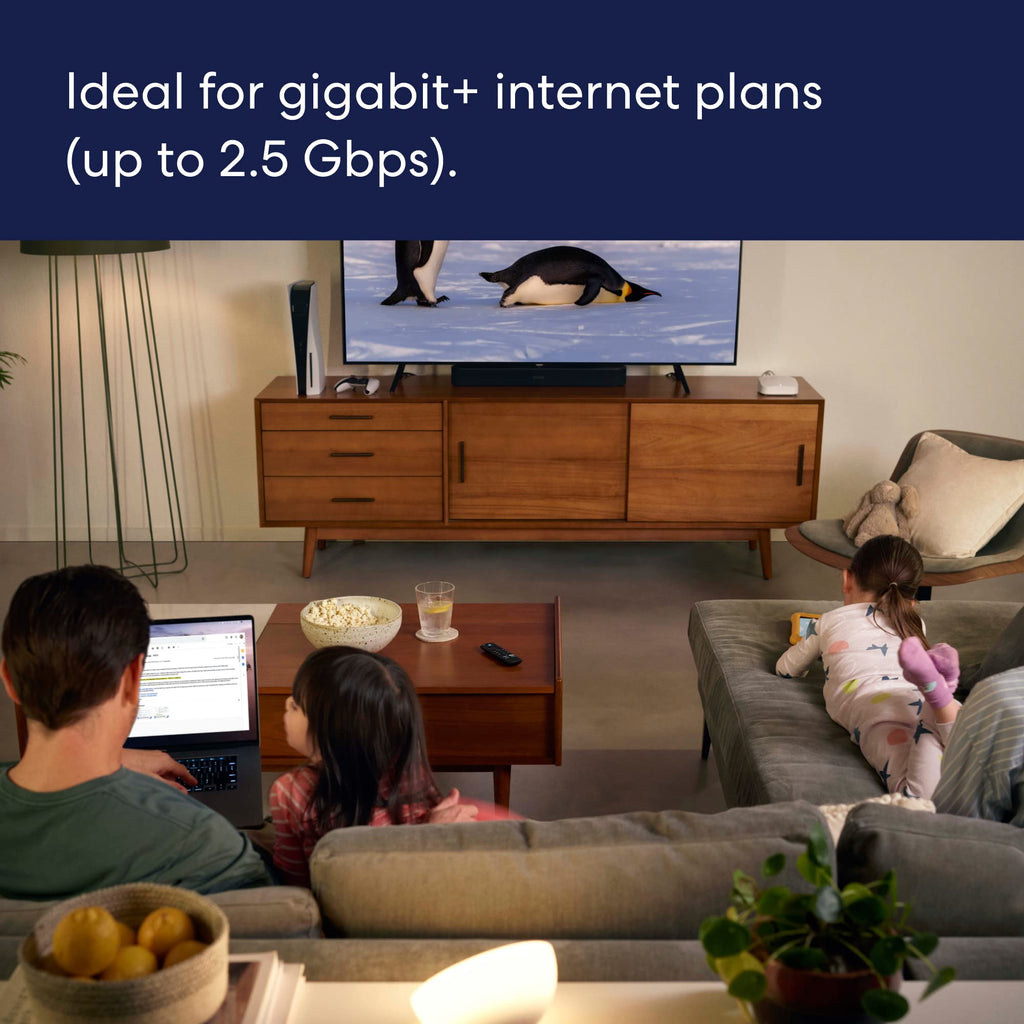 Mesh Wifi Router with 4K Max Streaming Stick E1091