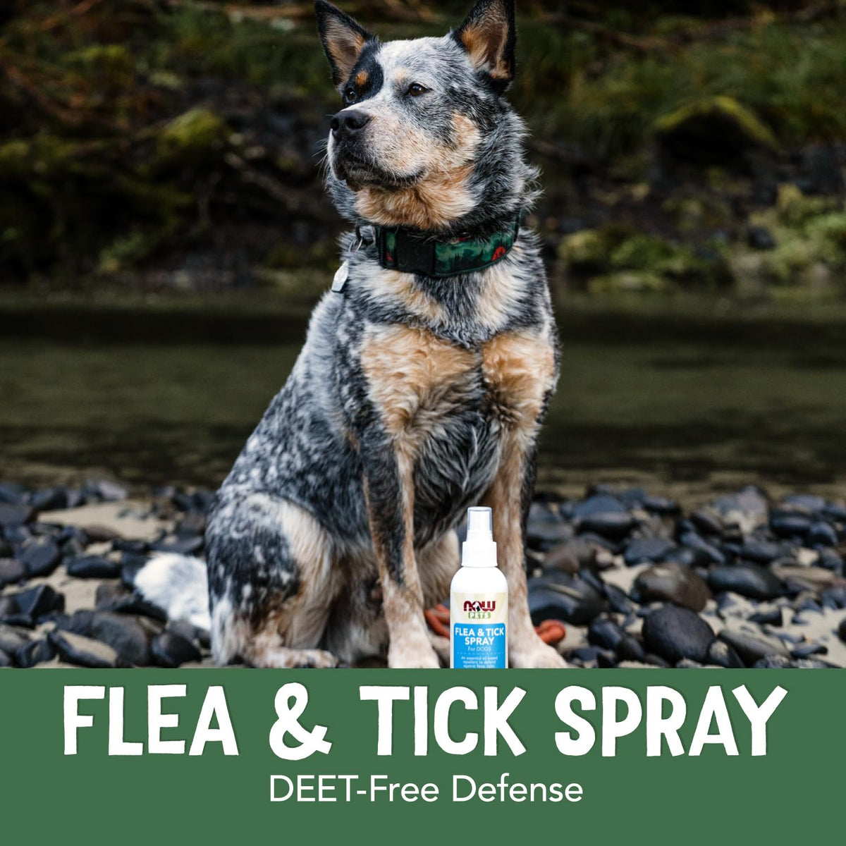Flea and Tick Spray for Dogs 8-Ounce S817624