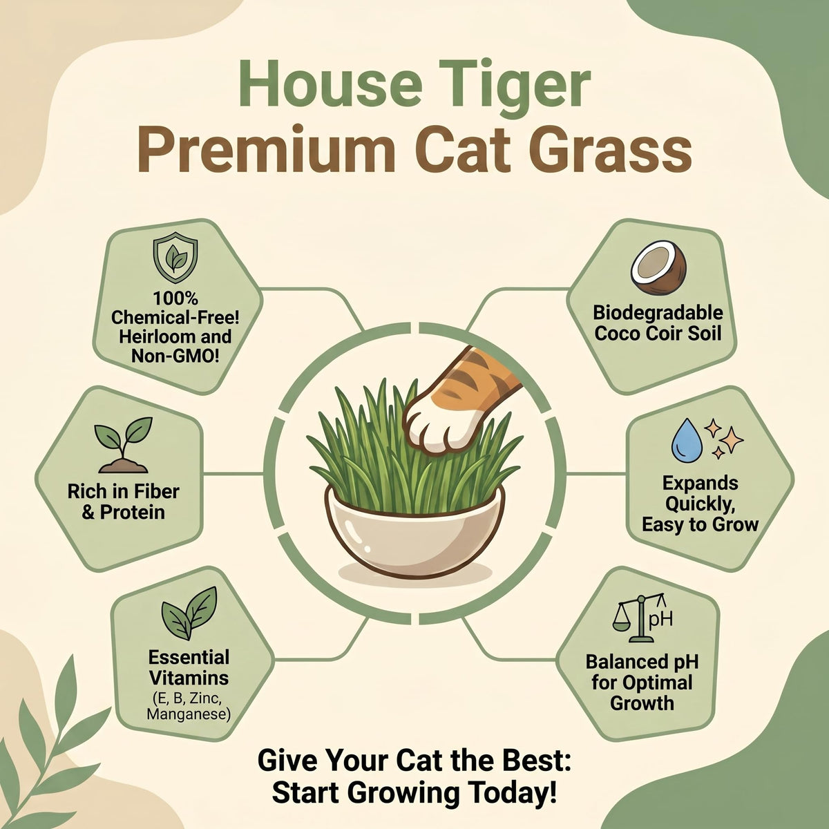 Cat Grass Gift Set with Self-Watering Pot & 3-Pack Refill W7481