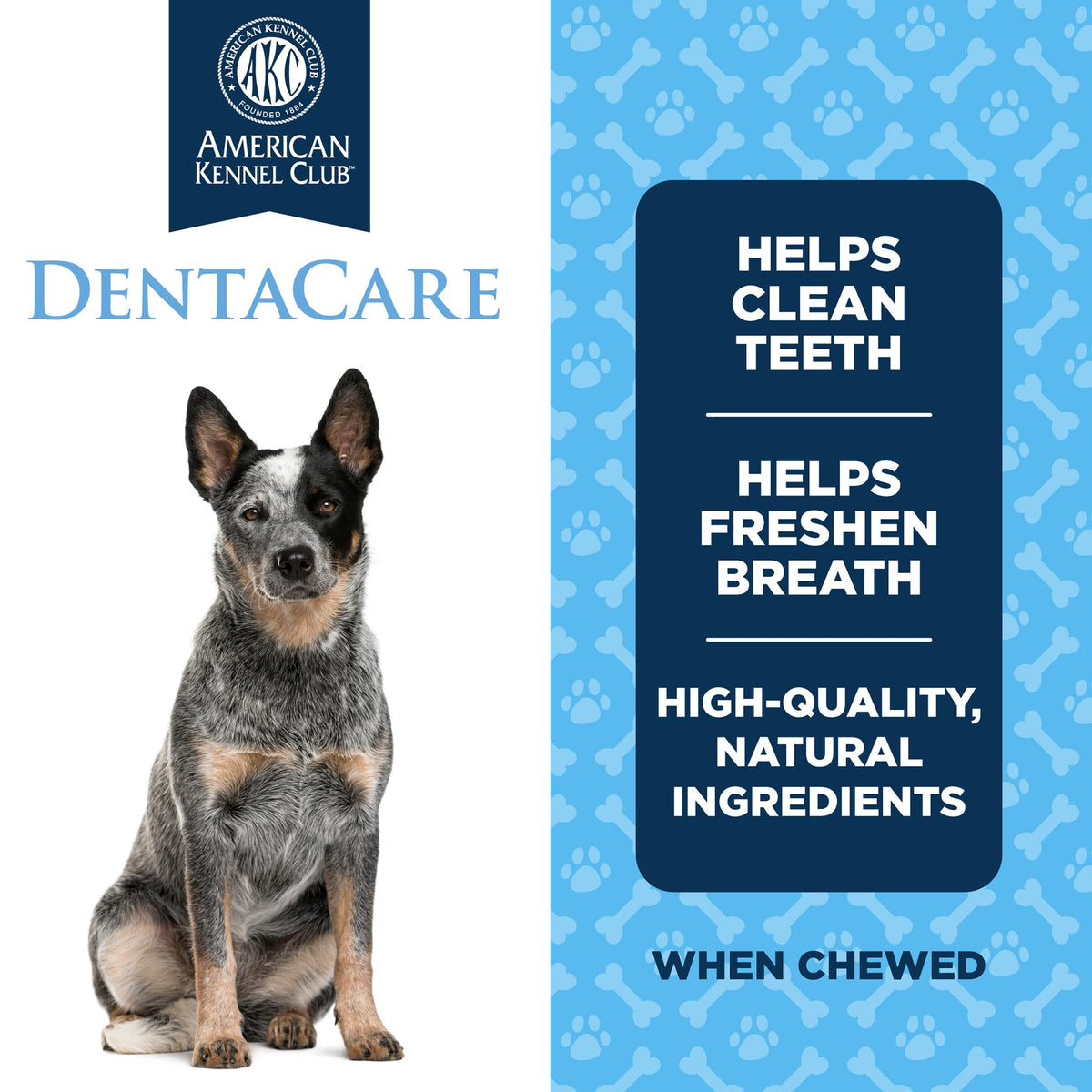 Medium Mint Flavored Dentacare Bones, 14 Count S6925