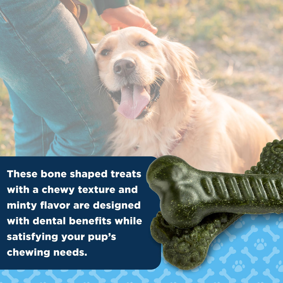 Medium Mint Flavored Dentacare Bones, 14 Count S6925
