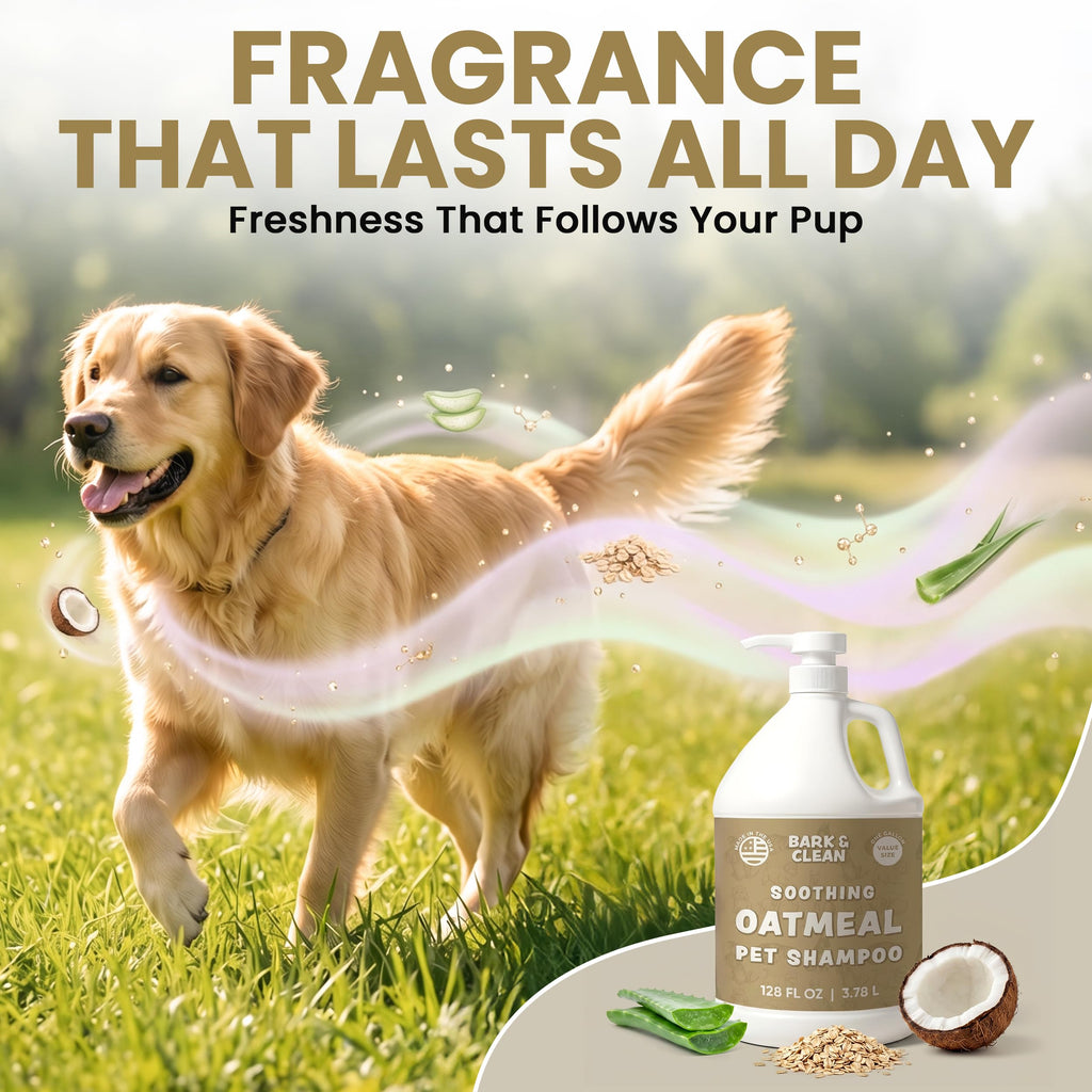 Oatmeal Dog Shampoo 1 Gallon with Pump Hypoallergenic Aloe Vera Coconut Oil K953