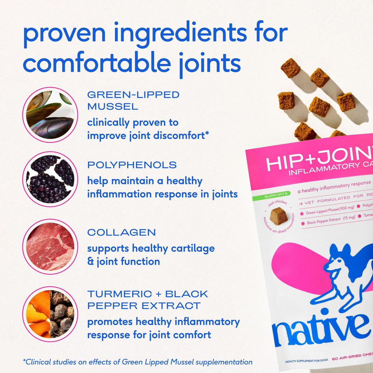 Green-Lipped Mussel Turmeric Collagen Hip and Joint Supplement for Dogs 120 Chews G867827