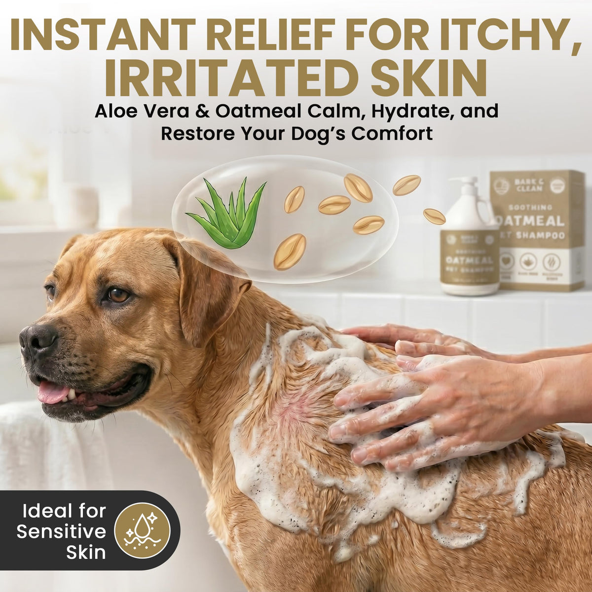 Oatmeal Dog Shampoo 1 Gallon with Pump Hypoallergenic Aloe Vera Coconut Oil K953