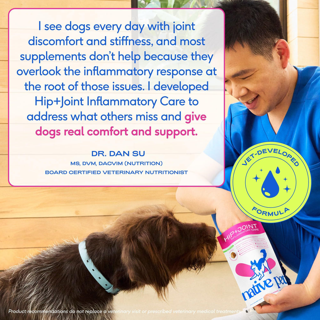 Green-Lipped Mussel Turmeric Collagen Hip and Joint Supplement for Dogs 120 Chews G867827