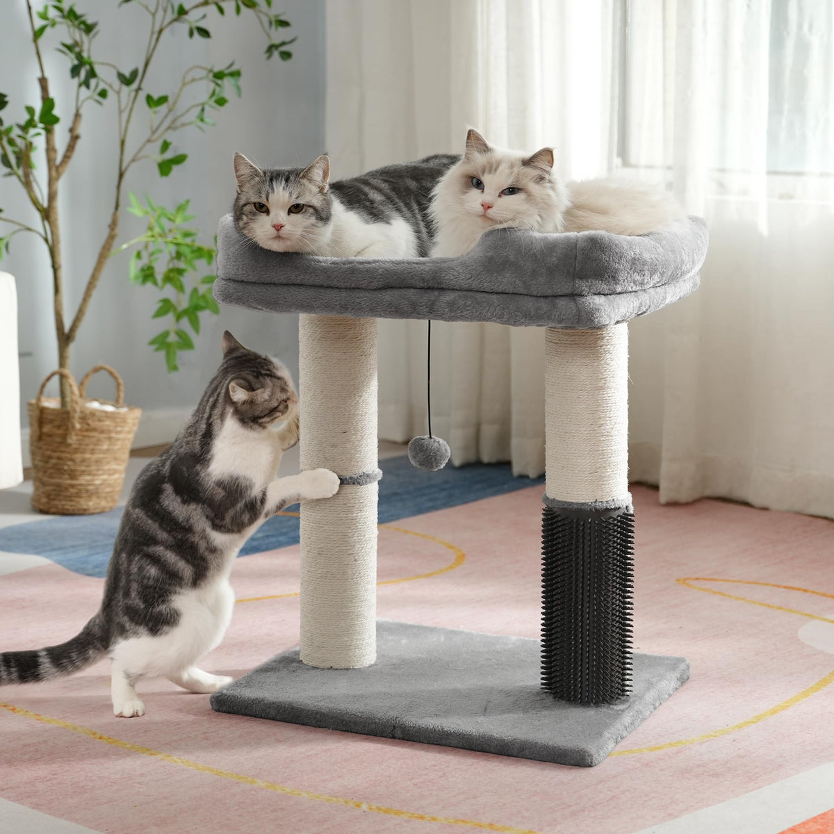 Cat Tree Tower with Bed O2084