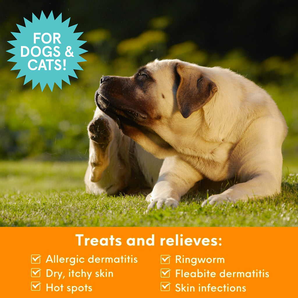 Medicated Chlorhexidine Dog Shampoo 16oz I861333